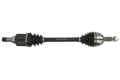 Drive Shaft PASCAL G2E009PC