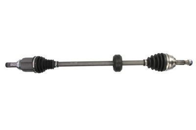 Drive Shaft PASCAL G2E019PC