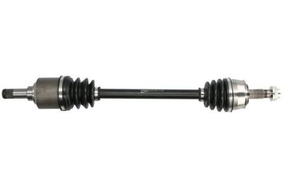Drive Shaft PASCAL G2F013PC