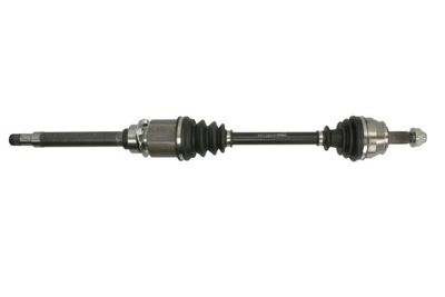 Drive Shaft PASCAL G2F019PC