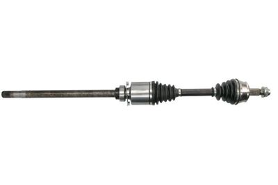 Drive Shaft PASCAL G2F024PC
