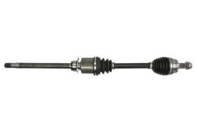 Drive Shaft PASCAL G2F031PC