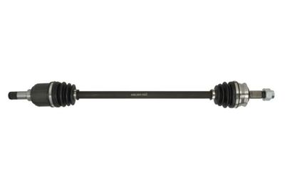 Drive Shaft PASCAL G2F039PC