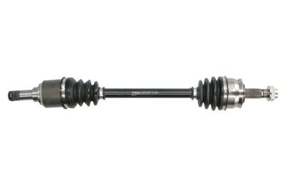 Drive Shaft PASCAL G2F043PC