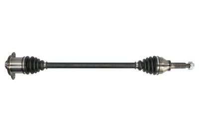 Drive Shaft PASCAL G2F058PC
