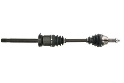Drive Shaft PASCAL G2G004PC
