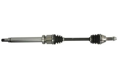 Drive Shaft PASCAL G2G013PC