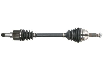 Drive Shaft PASCAL G2G014PC