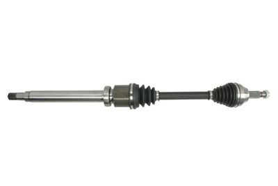 Drive Shaft PASCAL G2G016PC