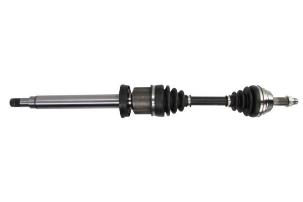 PASCAL G2G019PC Drive Shaft