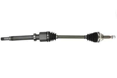 Drive Shaft PASCAL G2G029PC