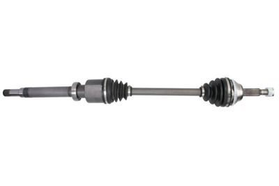 Drive Shaft PASCAL G2G035PC