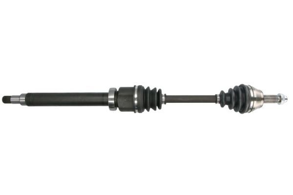 PASCAL G2G049PC Drive Shaft
