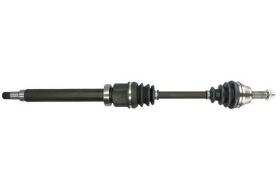 Drive Shaft PASCAL G2G049PC
