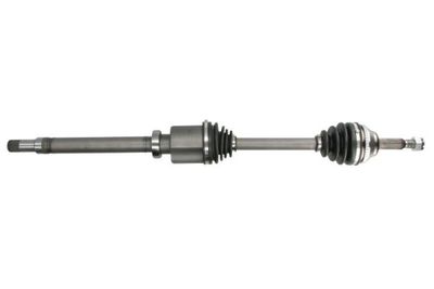 Drive Shaft PASCAL G2G053PC