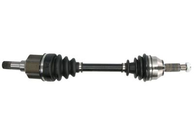 Drive Shaft PASCAL G2G059PC