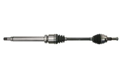 Drive Shaft PASCAL G2G068PC