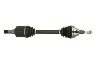 Drive Shaft PASCAL G2G082PC