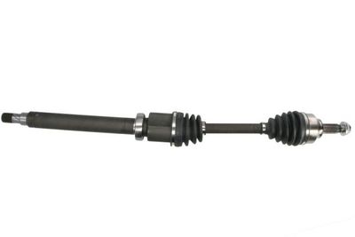 Drive Shaft PASCAL G2G089PC