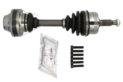Drive Shaft PASCAL G2M006PC