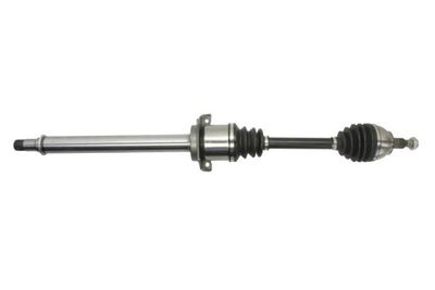 Drive Shaft PASCAL G2M009PC