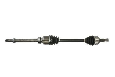 Drive Shaft PASCAL G2M037PC