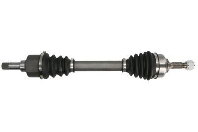 Drive Shaft PASCAL G2P001PC