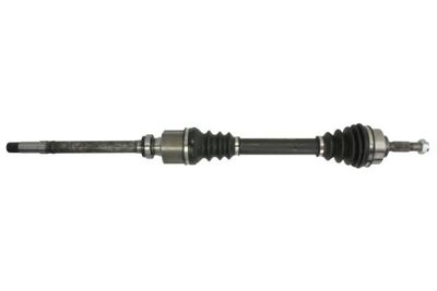 Drive Shaft PASCAL G2P002PC
