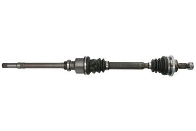 Drive Shaft PASCAL G2P006PC