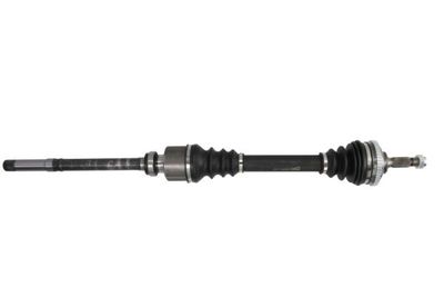 Drive Shaft PASCAL G2P008PC