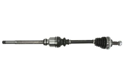 Drive Shaft PASCAL G2P010PC