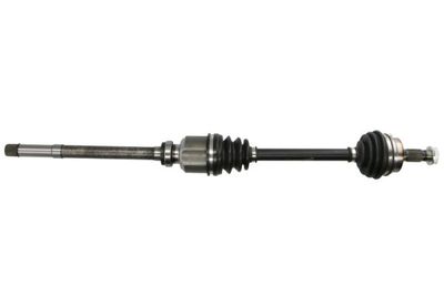 Drive Shaft PASCAL G2P017PC