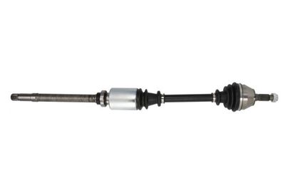 Drive Shaft PASCAL G2P019PC