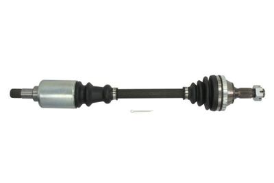 Drive Shaft PASCAL G2P031PC