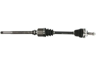 Drive Shaft PASCAL G2P034PC