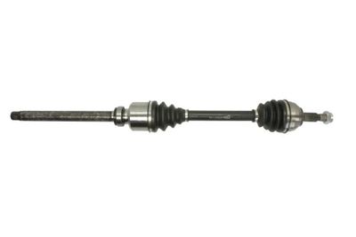 Drive Shaft PASCAL G2P053PC