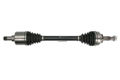 Drive Shaft PASCAL G2P059PC
