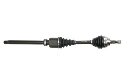 Drive Shaft PASCAL G2P061PC
