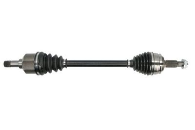 Drive Shaft PASCAL G2P067PC