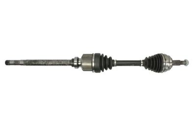 Drive Shaft PASCAL G2P073PC