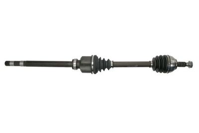 Drive Shaft PASCAL G2P077PC