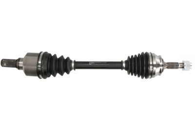 Drive Shaft PASCAL G2P087PC