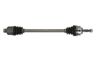 Drive Shaft PASCAL G2R002PC