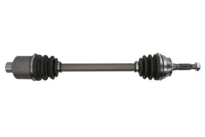Drive Shaft PASCAL G2R011PC