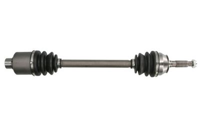 Drive Shaft PASCAL G2R024PC