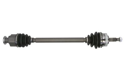 Drive Shaft PASCAL G2R031PC