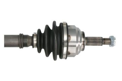Drive Shaft PASCAL G2R039PC
