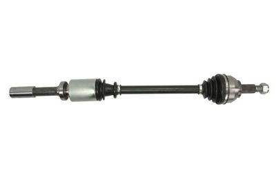 Drive Shaft PASCAL G2R059PC