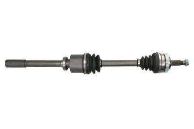 Drive Shaft PASCAL G2R061PC