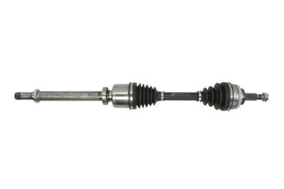 Drive Shaft PASCAL G2R093PC